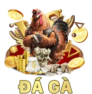 Chơi đá gà trên di động